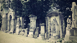 Kamenický ŠenovOK1